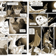 Imagen para el artículo titulado Dónde leer los mejores webcómics en español